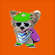 21607923784025543658024067331009769919395041958272689574271022482256784523265