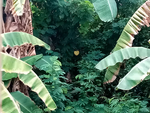 Item #91419314110800337009204889244420491545842303505927805999053350498816185435808 Media