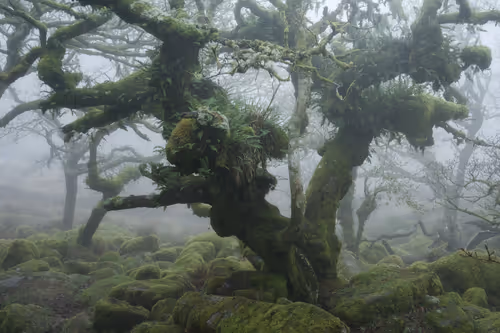 Item #72639390708267126639436568569652760193401123475841185469851730187284538982401 Media