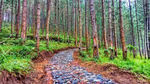 Item #103842889380389490974237418585488476385248358379383266595214697769992644984833 Media