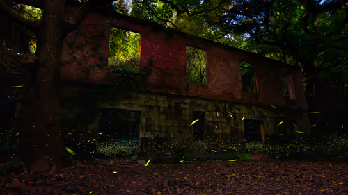 Item #95959012453955808613832479973622577136633073977995899638249620759538948898817 Media