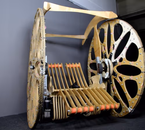 Untitled Collection #205141246