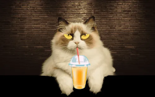 Item #45852294071408086156265873713950919904827186335006325946040031005285562712069 Media