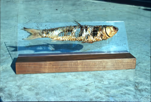 Item #26321359972833984351434126981753894799166725038868889816980362018461338042369 Media