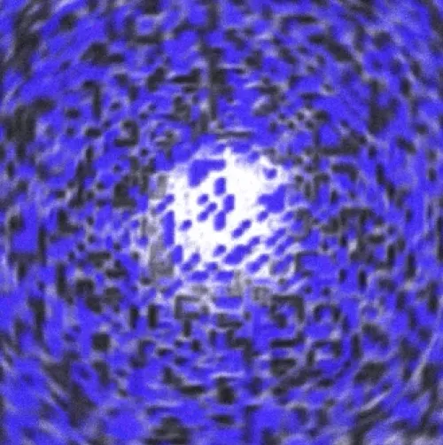 Item #115051082971731363831960019370668022091466431359932364164848857216165666095105 Media