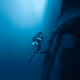 Into the Blue by Ben Savage