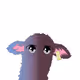 11444611823863110668713699338544954840133309129080130440856331662258589401089