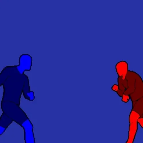 Combat Animations