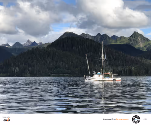 Item #75409383365909662742797353960547032942445262958910293626622653910915930390529 Media