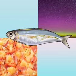 Pineapple Pizza Sardine with Rice in the night #0012