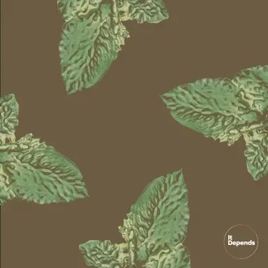 Ai Lucky Plants QGKGlimXUx