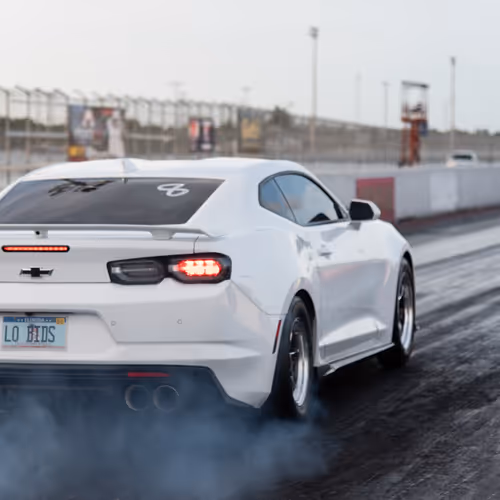 floridanick Collection