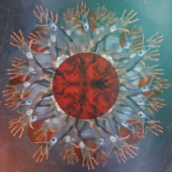 Tarantula (2022)