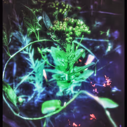 3787080761074609709675817509753112159059746763483256848434353609473454505989