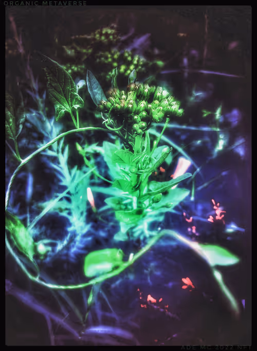 Item #3787080761074609709675817509753112159059746763483256848434353609473454505989 Media