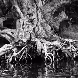 crypto#Nature1