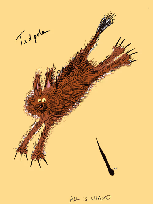 Item #8190719571610145789568542506567364700647027859008357845740194969545538011137 Media