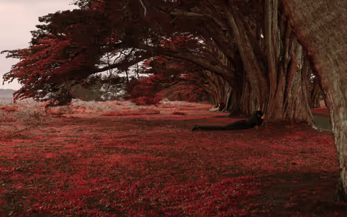 Item #3601436234996315430006013910499200169478742861984113335982183056284340715521 Media