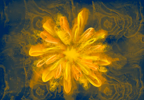 Item #64515795529198953580537894764101498903184970537215321722121713781671643316225 Media