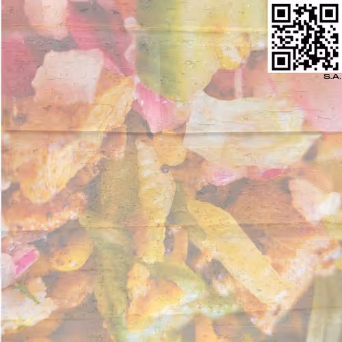 Item #61089433673675855013240100592429788426200334601701735580530433829072934010881 Media