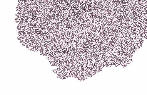 Item #56231055166534768819260761756004250554455450585187543117911899968316347777025 Media