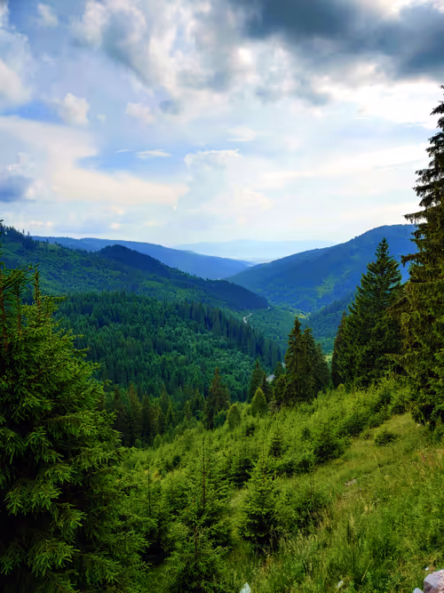 Item #89280554323355594991187074472248038858407737150671798798762341996049475829761 Media