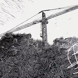 Stop deforestación 