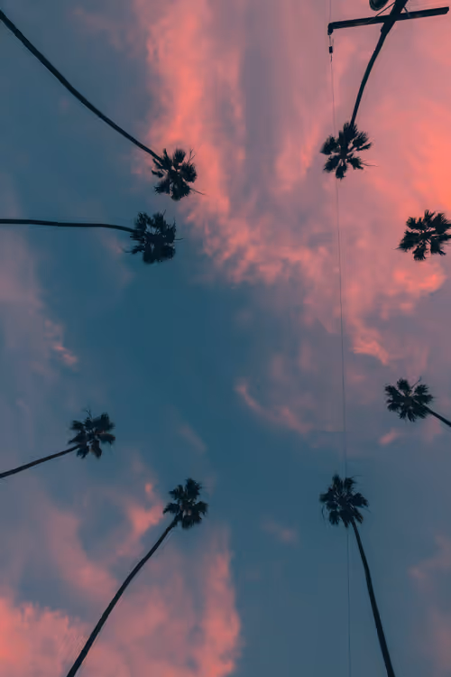 Item #35557780727049604459658880725917592814256363748111026780455796836568940937217 Media