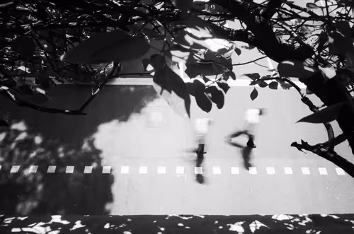 Item #104401202263346064366576801662350281283691787841131726192481732444068740333569 Media