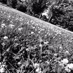 "touch nature"
