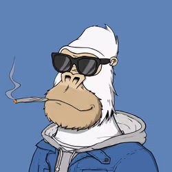 Chilled Kong #7778