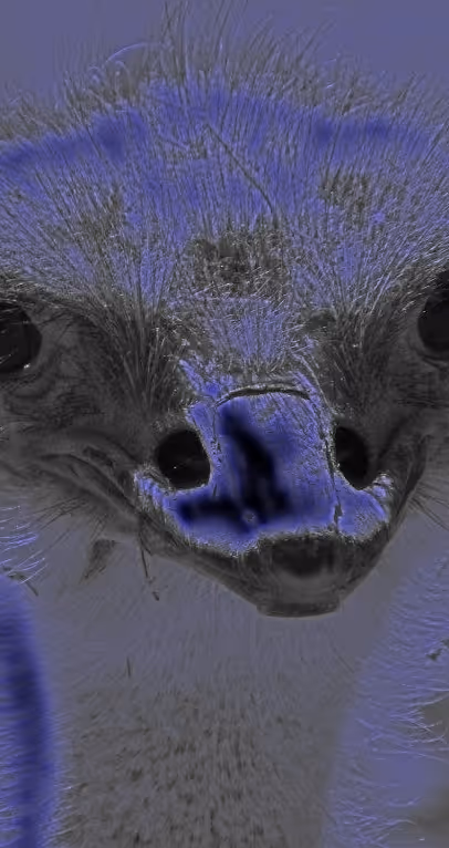 Item #95619151568614802974454947629602672965769746893472874508208249361512936767489 Media