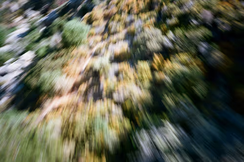 Item #38495668349306452240688866721683925223246116077147746545727998339253838807140 Media