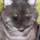 87517460979061479057086446069239467347692844198543505013831102819657937059841