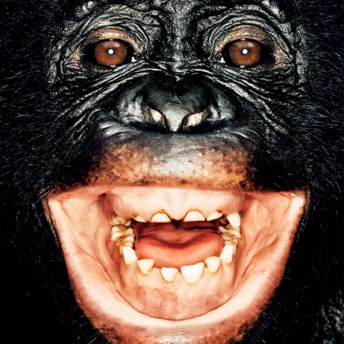 109162157552346088047496633038404394118504199992061596446112929765658873298945