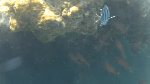 Item #32522392328516293709208538786472574869311995244495637720412795746506380410885 Media