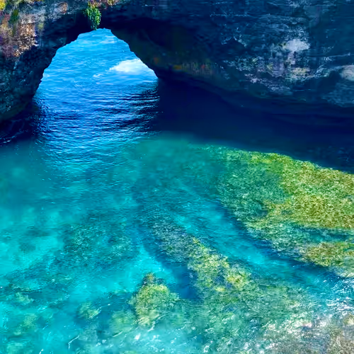 Color Sea 