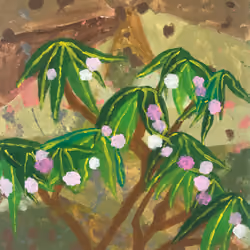 Oleander