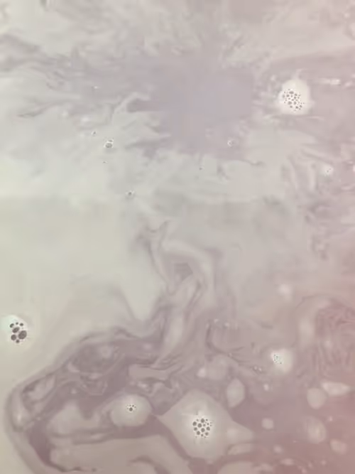 Item #96040857621548623282326574939458097993481777898920525483742573530701442842625 Media