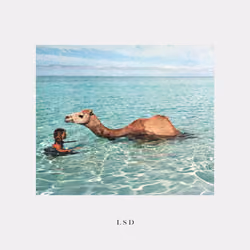 Happy camel