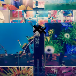 Cactus space【一起去塞滿仙人掌的地方】