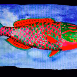 zodiac sign fish