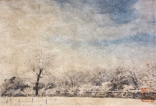 Item #17817558194044330547845455566334835478189962784375818300622327554762201890817 Media