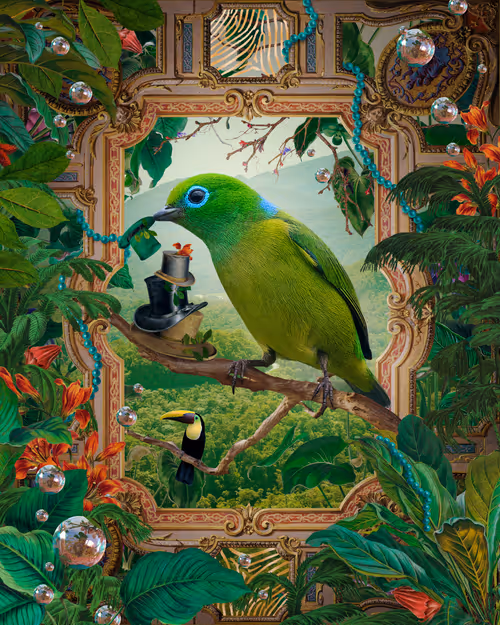 Item #52157283746525259542450048435420026544825586665161748575613848739192839864321 Media