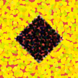 45103459462393089998022597786610234427318767534143447753496208134246741573633