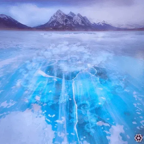 Item #80305803031457727000169367139464419088647062543998058403747634548262704250881 Media