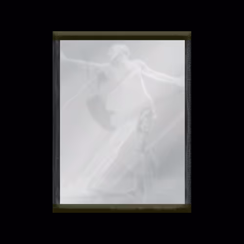 Mirrored  Reflections