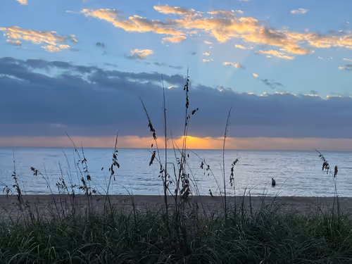 Item #64408299838290425616075013575957306372780199351777370491517644400307474530305 Media