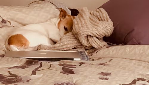 Item #5985210497355107417265215381210579199842884272282595265964883424304586293249 Media