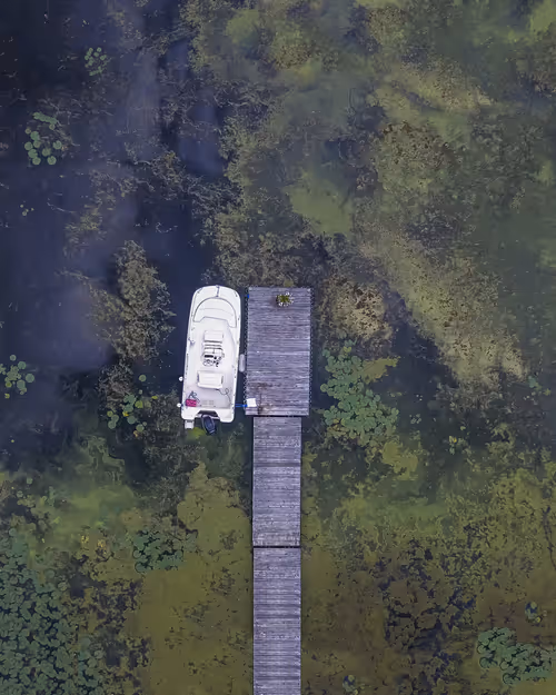 Item #100600280271040798317723628260513137156606623100883316454227271997924384440321 Media